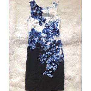 Anthropologie Maeve Vanda Pencil Dress